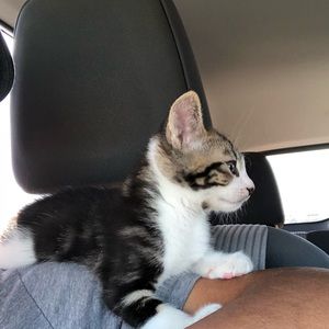 Meet your Posher, Ryan